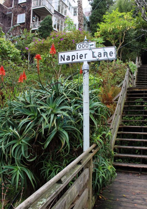 Urban Oasis, Filbert & Greenwich Steps, San Francisco