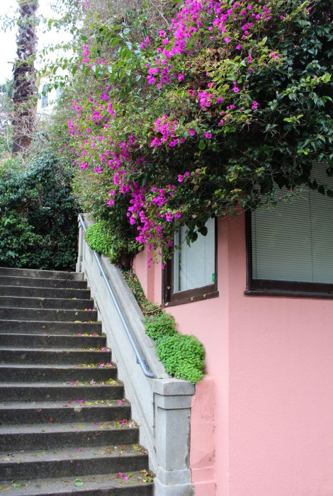 Urban Oasis, Filbert & Greenwich Steps, San Francisco