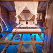 The-Glass-Floor-Udang-House-Bali-Indonesia