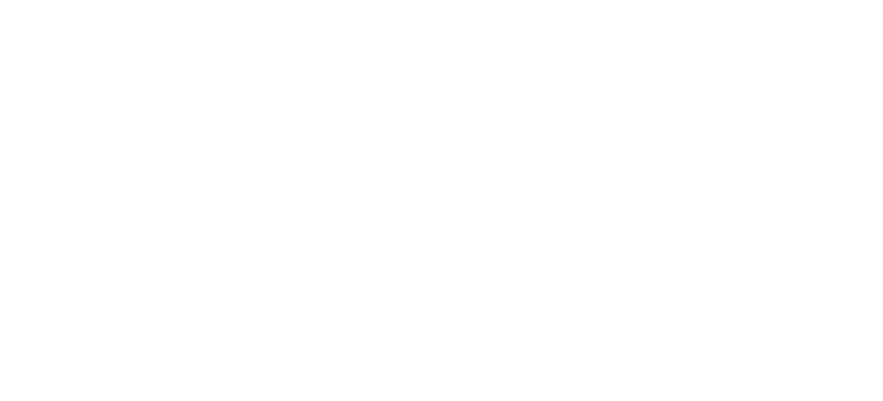 Panattoni Logo